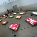 서울언남초등학교 이미지