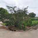 이종훈 가옥 이미지