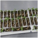 깊은뿌리 태권도장 이미지