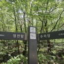 보석사   은행나무 이미지