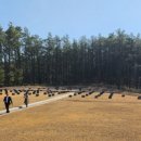 고경벌초