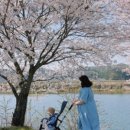 성대2리 이미지