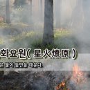 🌷[오늘의 고사성어] 성화요원(星火燎原) - 작은 불이 들판을 태운다. 이미지