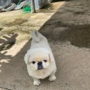 산골초가펜션 이미지