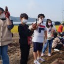 초평초등학교 이미지