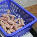 태평양장어구이 이미지