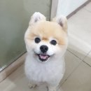 아름다운동물병원 이미지