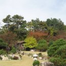 솔바람 들꽃향기 이미지