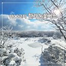 버스정류소_서귀포환승정류장 | 제주 겨울 서귀포 한라눈꽃버스 승차팁 1100고지 눈꽃 여행