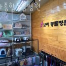 보라종합동물병원 이미지