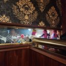 그남자네꽈배기의곡점 | 샤이니 키 중독자 자조모임에 방문하다🍸(240920)