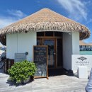 섬나라하얀집 | 몰디브 끝판왕 객실을 영접했다. - 시나몬 벨리푸시 리조트 숙박후기 (2) *워터스윗 위드풀