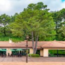 시민의숲산책로1-1 이미지