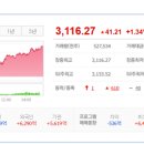 미디어 세림
