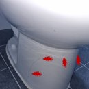 제이빌 앞 | 오창 집수리. 오창 양청리 빌라 변기교체 다녀왔습니다.