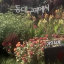 해인사쇼핑센터 이미지