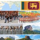 동양마스터태권도장 이미지