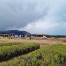 쿡팜(cook farm)