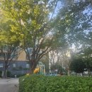 샘골공원 이미지