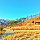 교리관광지 네이버블로그