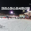 [이미지] 2024년 12월 25일 수요일 메리 크리스마스 지산리조트 야간스키 전경입니다. 이미지