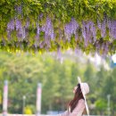 내장농장 이미지