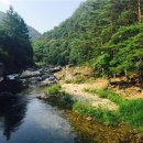 조선민화박물관 이미지