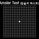 오늘맑음안경원 이미지