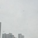 광교해우리