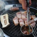 제주일돈흑돼지