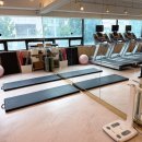 원 피티 이미지