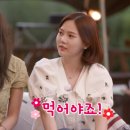 휠링캠프 이미지