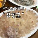 유성호활어회센타