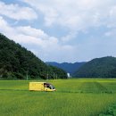 바람커피 이미지
