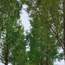 연공인중개사사무소 이미지