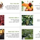 땅끝햇살고추 이미지