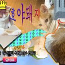 (초급) 포토샵 사진 편집 | GTQ 포토샵 1급 합격 후기 (독학/교재/시험접수부터 실전 꿀팁까지)