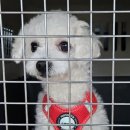 목포현대병원 이미지