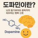 도파민