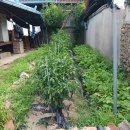 광명이용소 이미지