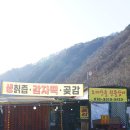 오대산건강원 - 보은군 삼산로5길 11 | 오대산건강원