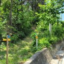 원주굽이길 4코스 꽃양귀비길 이미지