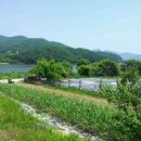 고교농장 이미지