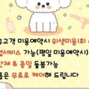 힐스 펫살롱 이미지