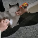 금천홈플러스 아가방 갤러리 | 강릉 1박2일