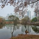 늘솔길숲이야기 화장실 | 힐링 가득한 가족 나들이:) 인천 늘솔길 양떼목장 다녀왔어요(ft.불쇼 있는 브라운 곱창)