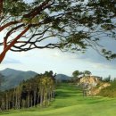 일레븐CC 이미지