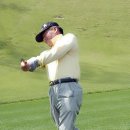 소피아그린 이미지