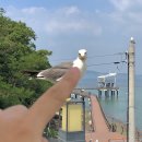 카페몰로 이미지