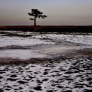 해송2로 이미지